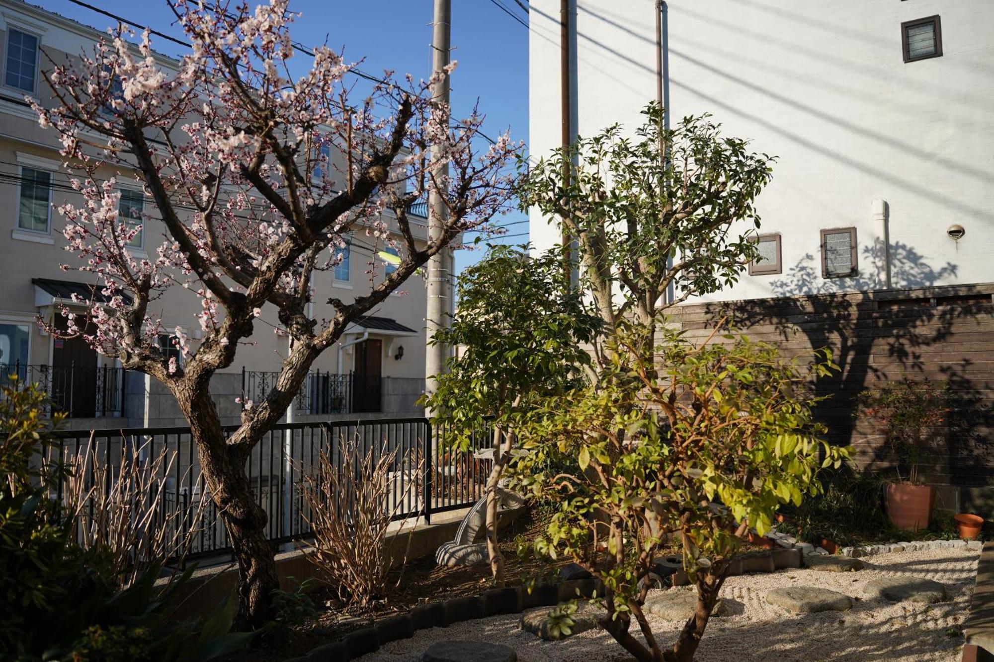 Shimokitazawa Akima Tokio